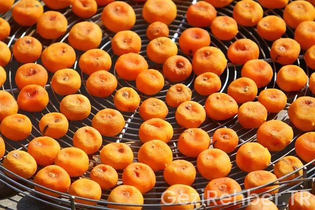 Trabzon Günlük Gezi Turları​