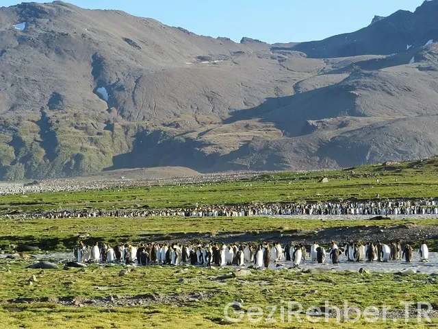 Trabzondan Gürcistan gezi turları