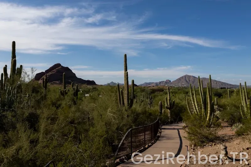 Travel guide arizona