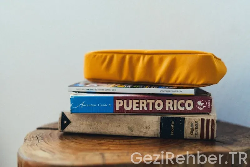 Travel guide books