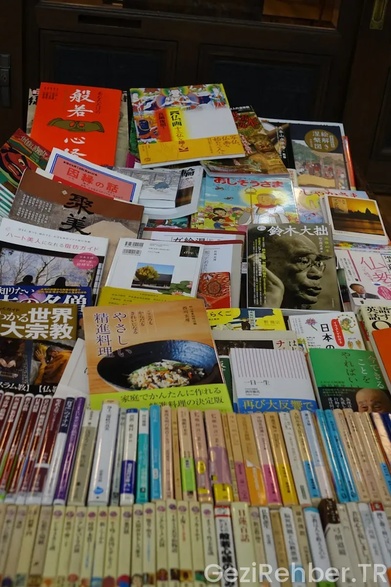 Travel guide books free