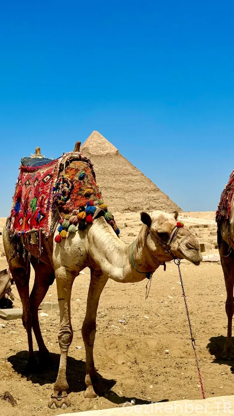 Travel guide egypt