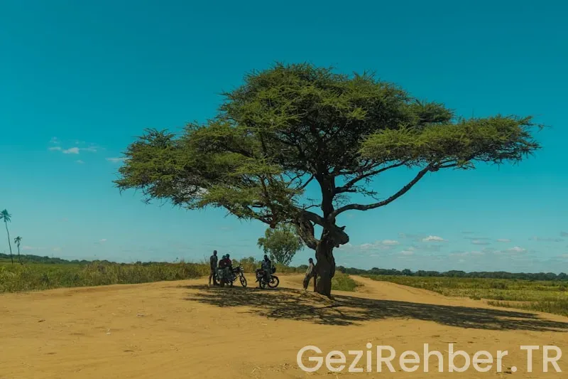 Travel guide kenya