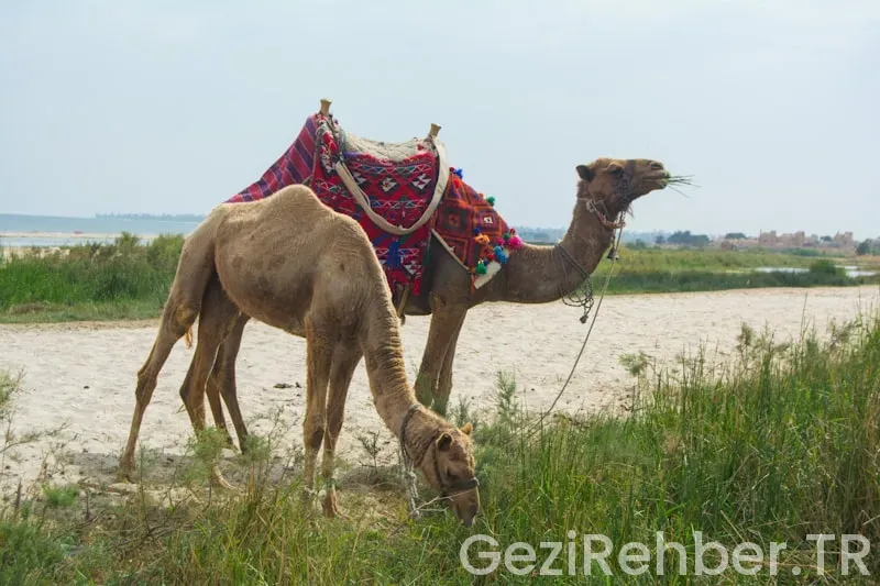 Travel guide new hampshire