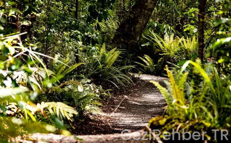 Travel guide new zealand