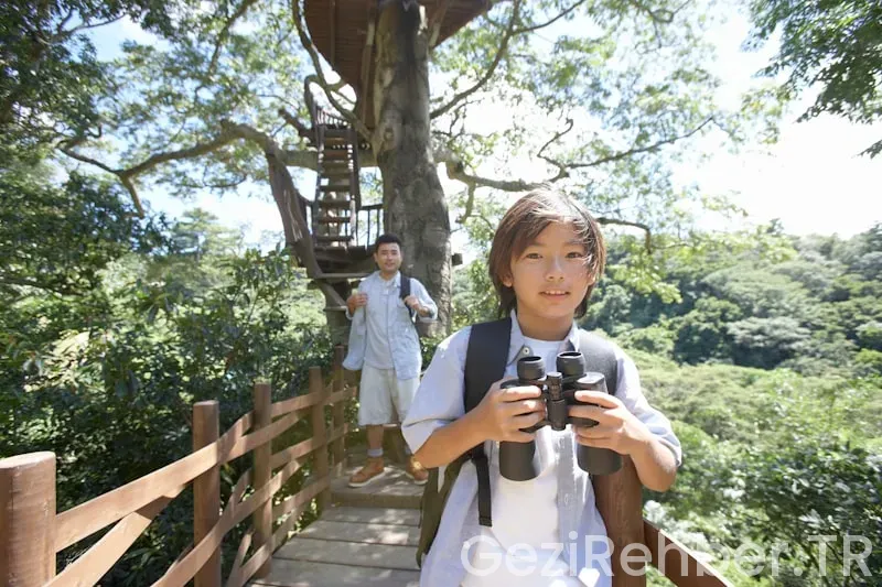 Travel guide okinawa