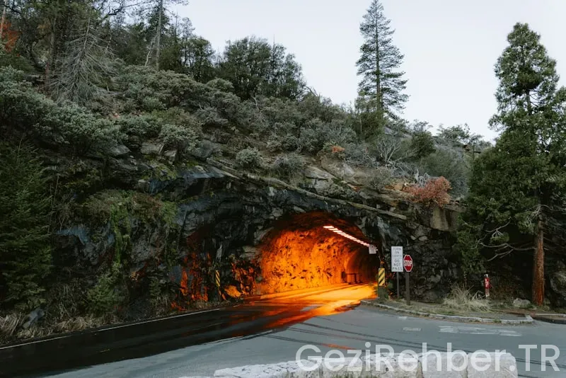 Travel guide portland oregon