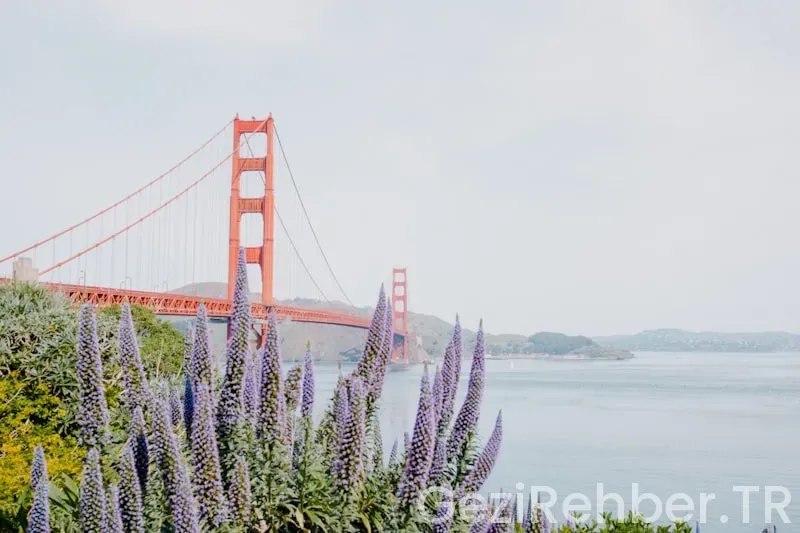 Travel guide san francisco