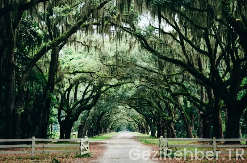 Travel guide savannah ga