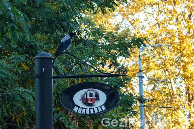 Travel guide williamsburg va