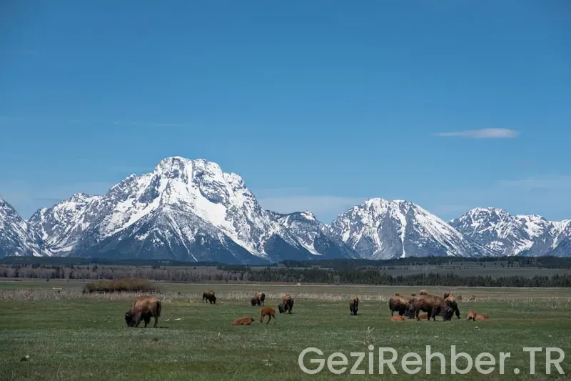 Travel guide wyoming