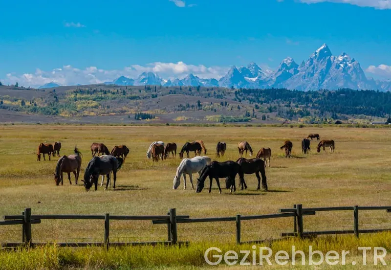 Travel guide wyoming