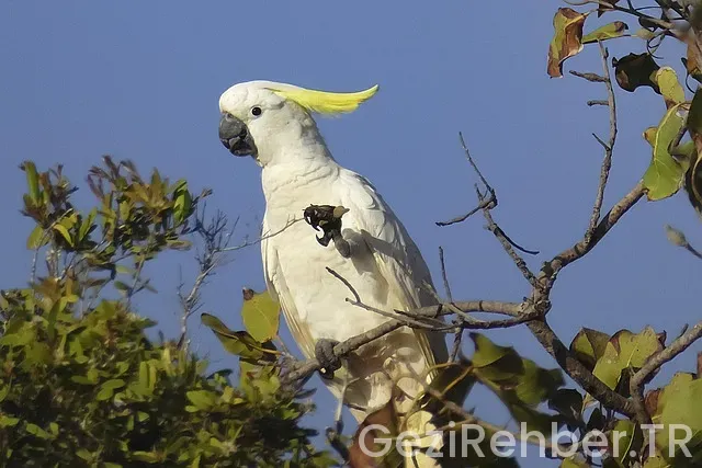 Tropik Balayı Önerileri 2025