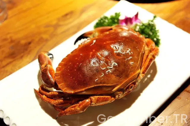 Tropik Balayı Önerileri 2025