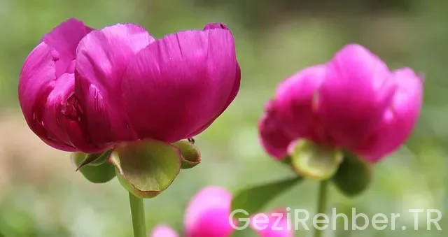 Tübitak teknokent marmara gelecek için ar-ge gezi programı