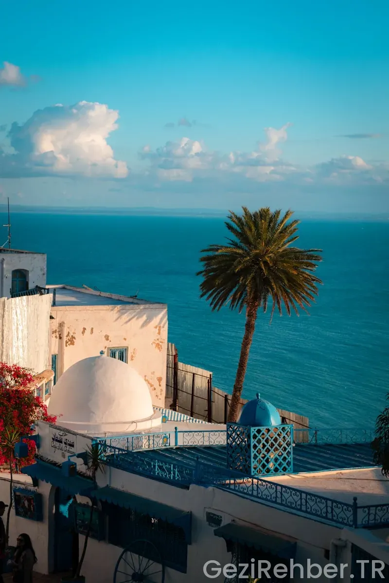 Tunisia travel guide