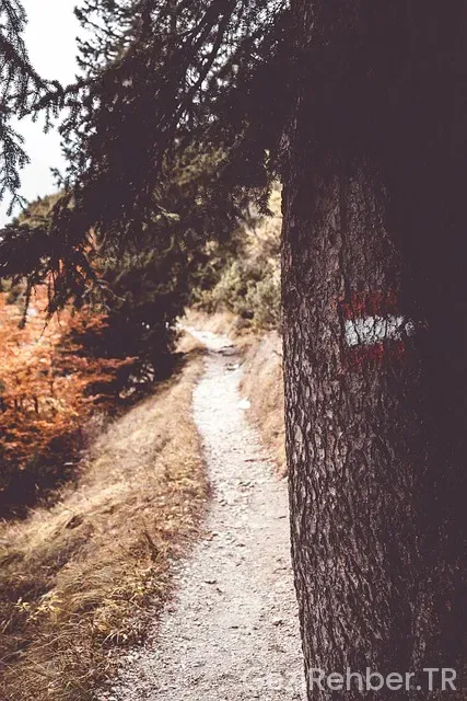 Tur rehberi sorgulama