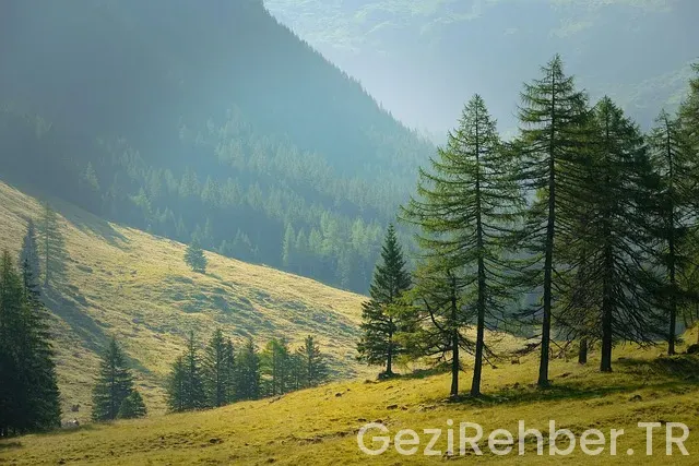 Tur rehberi sorgulama