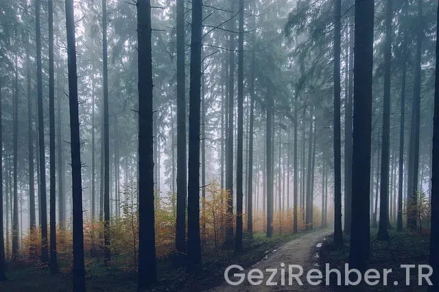 Tur sorgulama Tur sorgulama