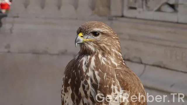 Türkiye çin uçakla kaç saat sürer