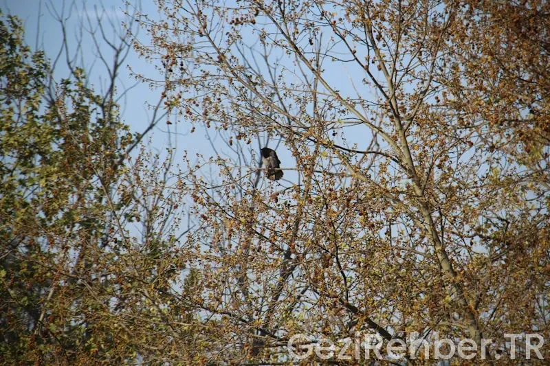 Türkiye gezi rehberi kitap kitapyurdu