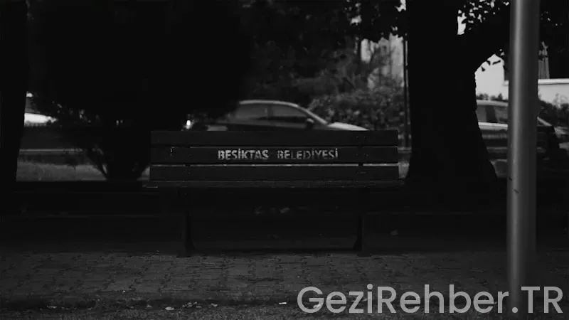 Türkiye gezi rehberi nt