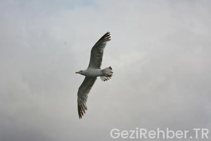 Türkiye görsel gezi rehberi
