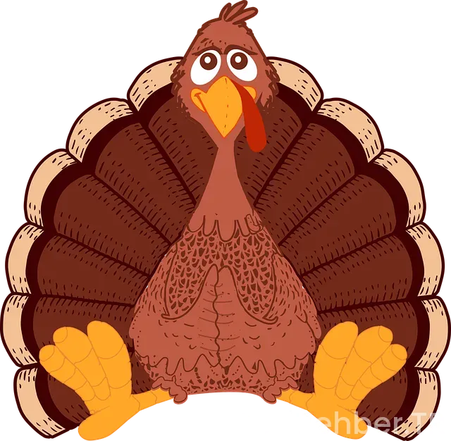 Türkiye Tatil Rehberi