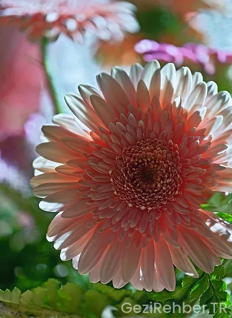 Türkiye'de Her Şey Dahil Otel Konaklamaları