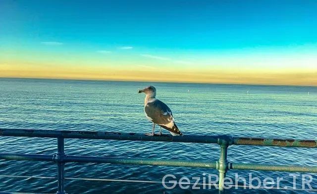 Türkiye'de Her Şey Dahil Otel Konaklamaları