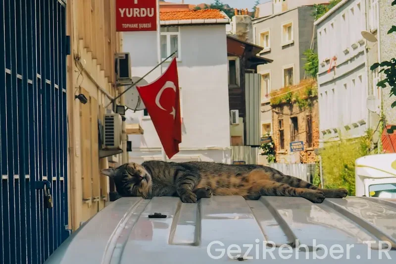 Türkiye’de Mutlaka Gezilmesi Gereken Yerler