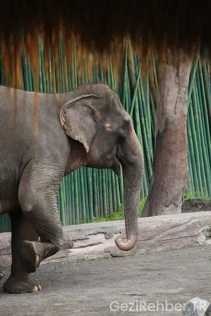 Ubud da nerede kalınır