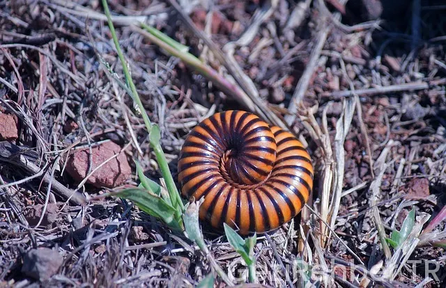 Uçak 0-100 kaç saniye