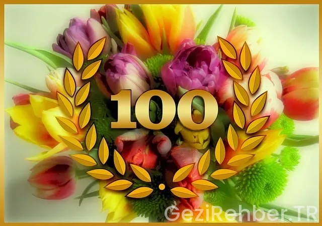 Uçak 0-100 kaç saniye