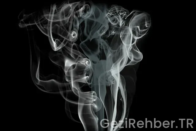 Uçak ortalama hızı