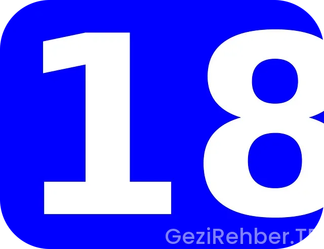Uçakla 18 saat