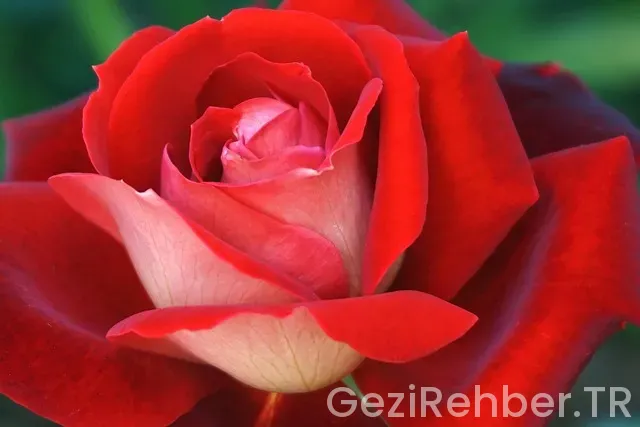 Uçaklar kaç saat uçar