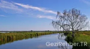 Ücretsiz karavan kamp yerleri