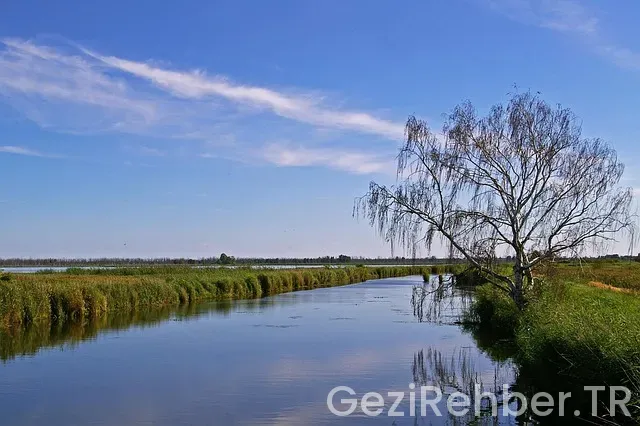Ücretsiz karavan kamp yerleri