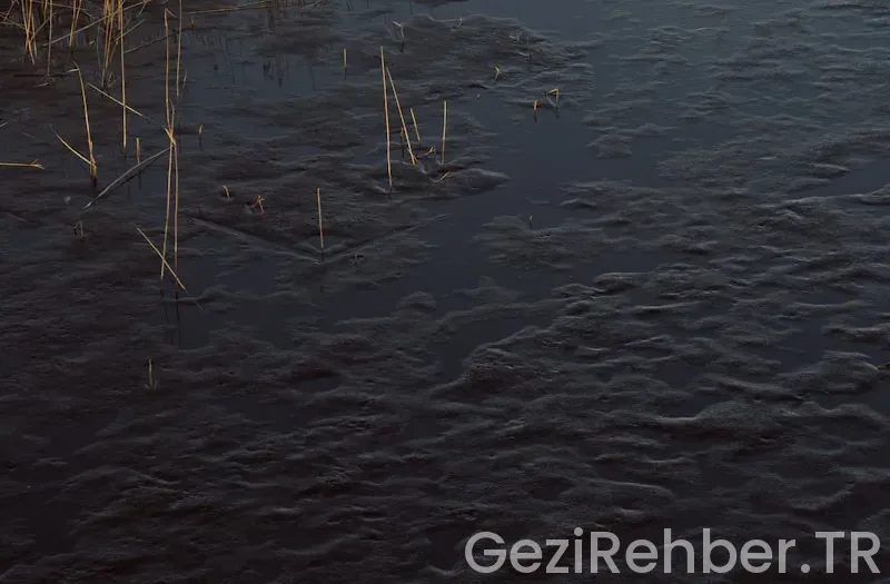 Uçsuz Bucaksız Villalar ve Resortlar