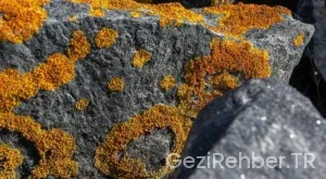 UCUZ UÇAK BİLETİ BULMANIN PÜF NOKTALARI