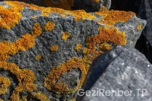 UCUZ UÇAK BİLETİ BULMANIN PÜF NOKTALARI