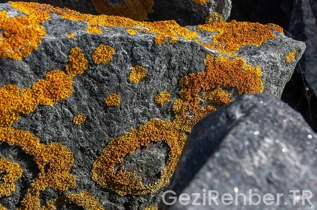 UCUZ UÇAK BİLETİ BULMANIN PÜF NOKTALARI