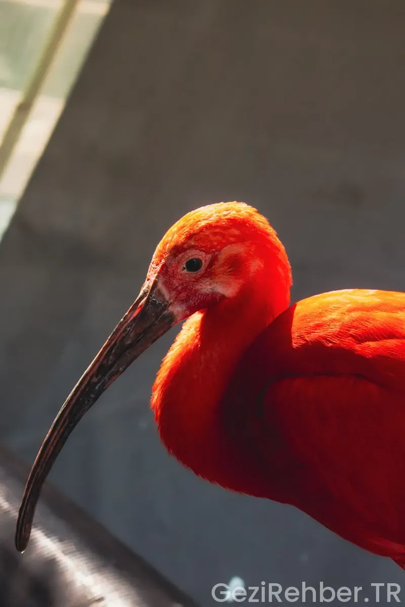 Uğur okulları yurtdışı gezileri