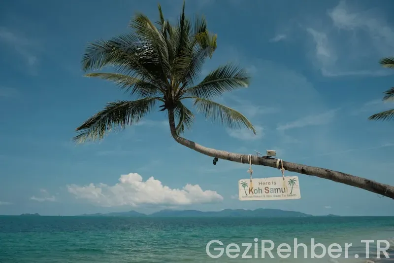 Güvenilir Tatil Siteleri 2025