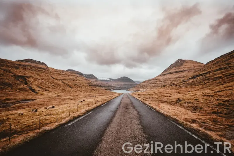 Paylaşımlı Yolculuk Nedir?