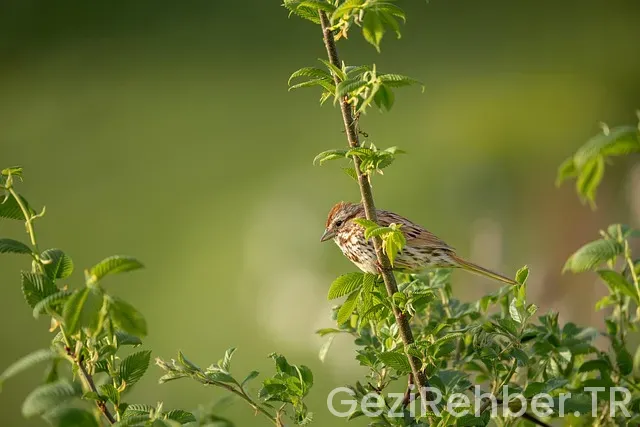 Ürdün uçakla kaç saat