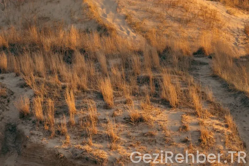 Üsküdar’da Gezilecek Yerler
