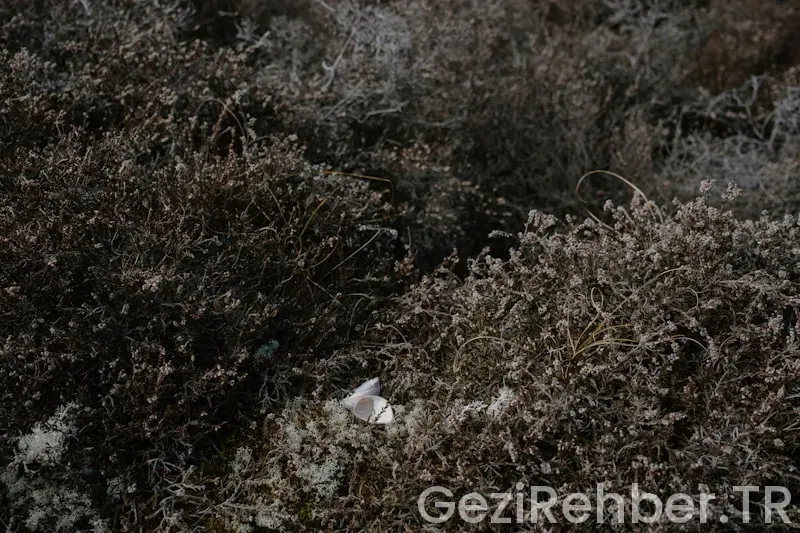 Üsküdar’da Gezilecek Yerler
