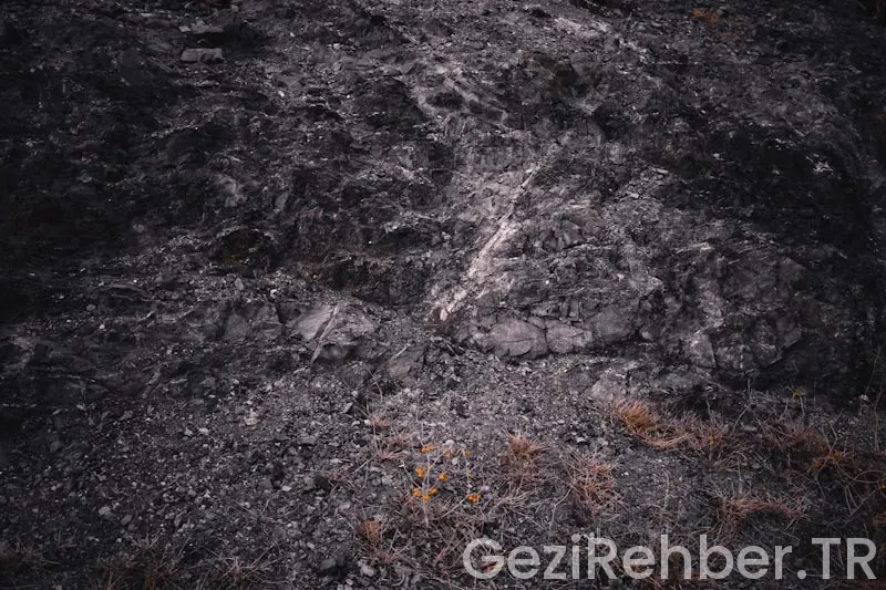 Üsküdar’da Gezilecek Yerler